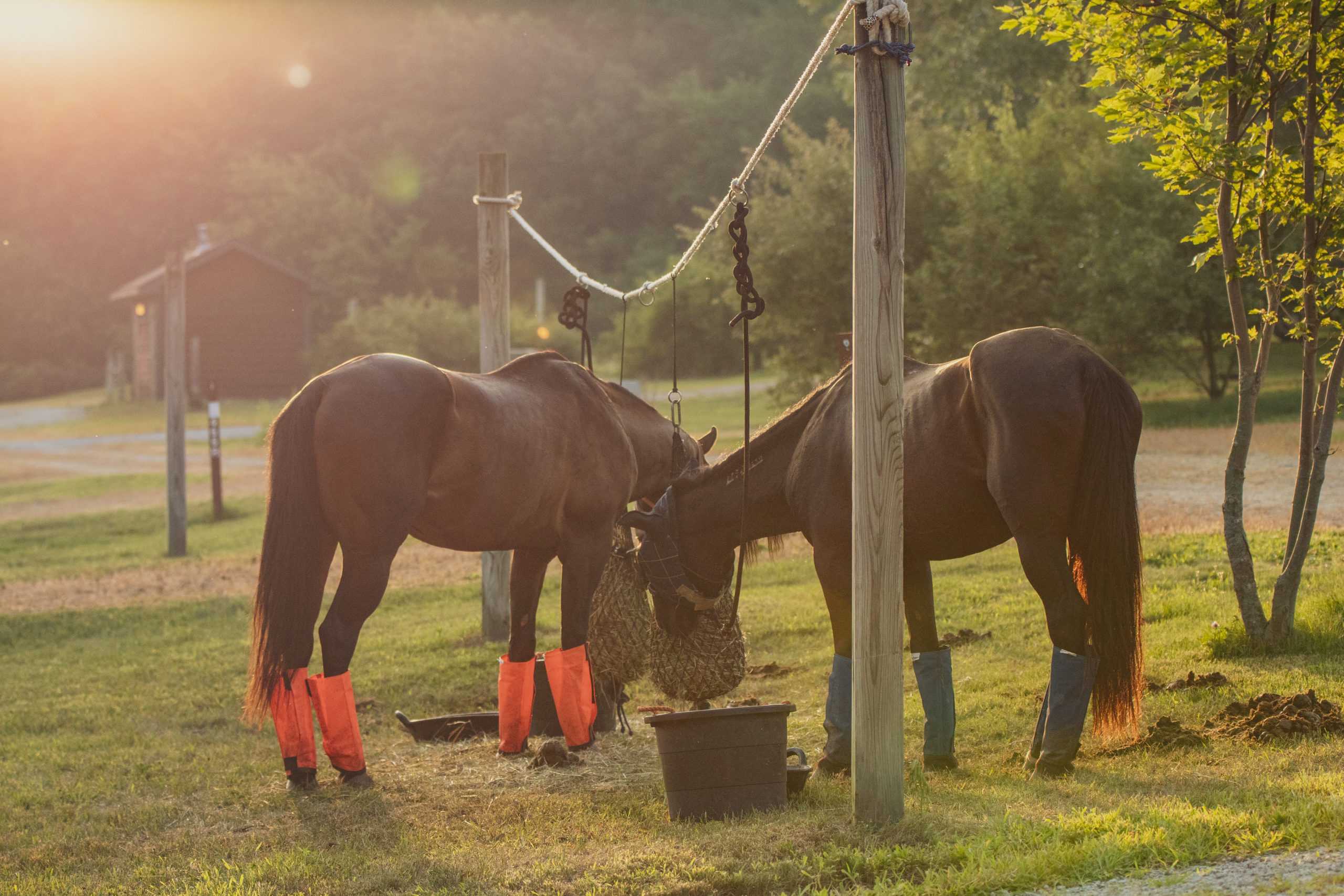 Warhorse Endurance Ride 2020 162 scaled
