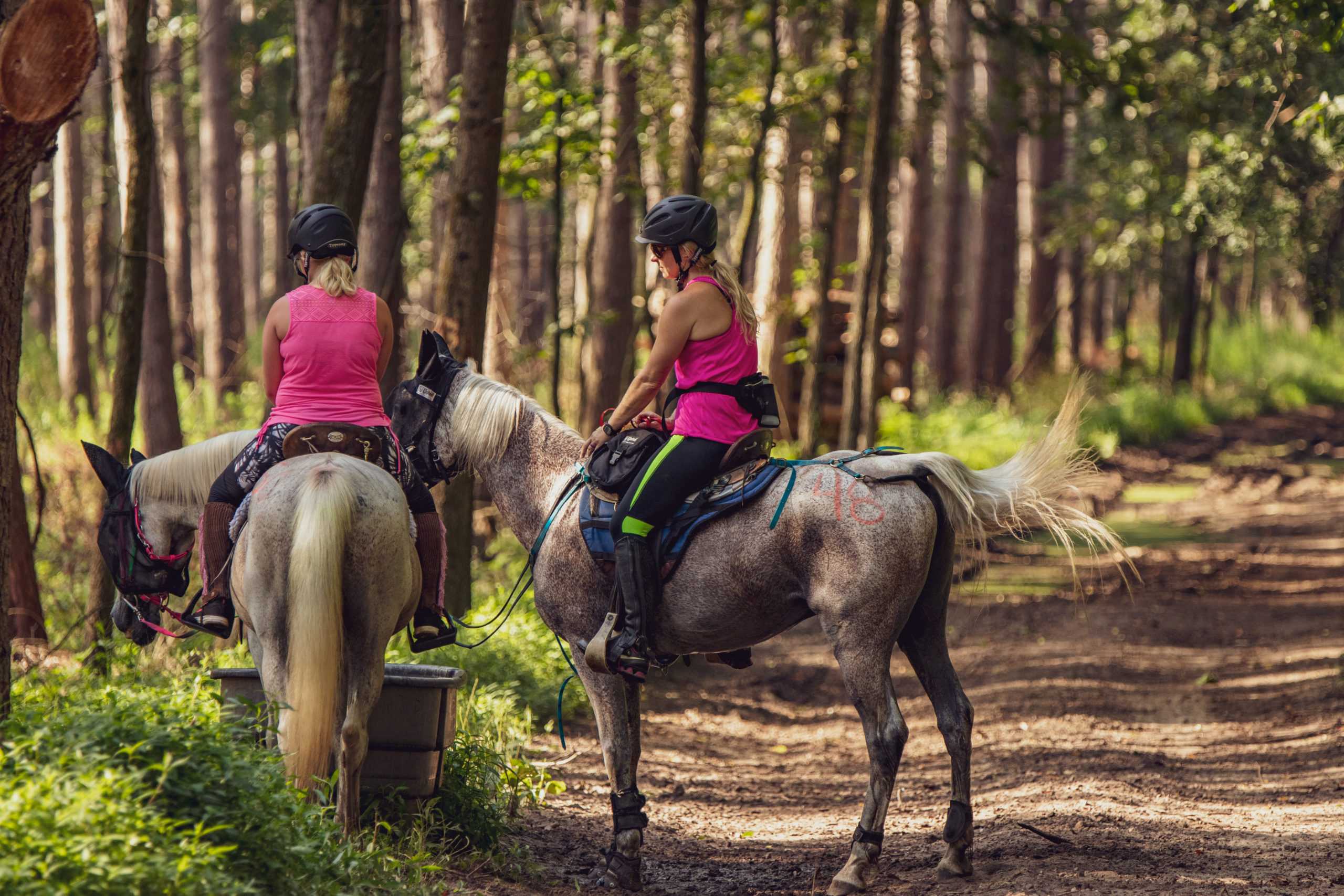 Warhorse Endurance Ride 2020 251 scaled