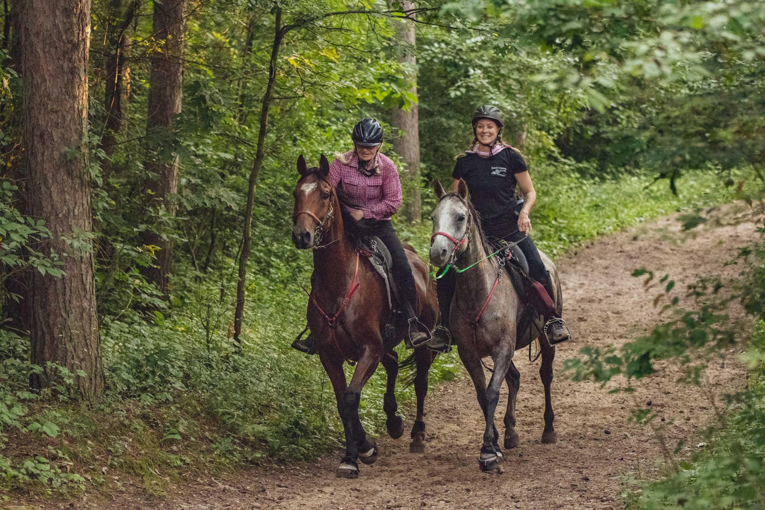 Warhorse Endurance Ride 2020 39 scaled