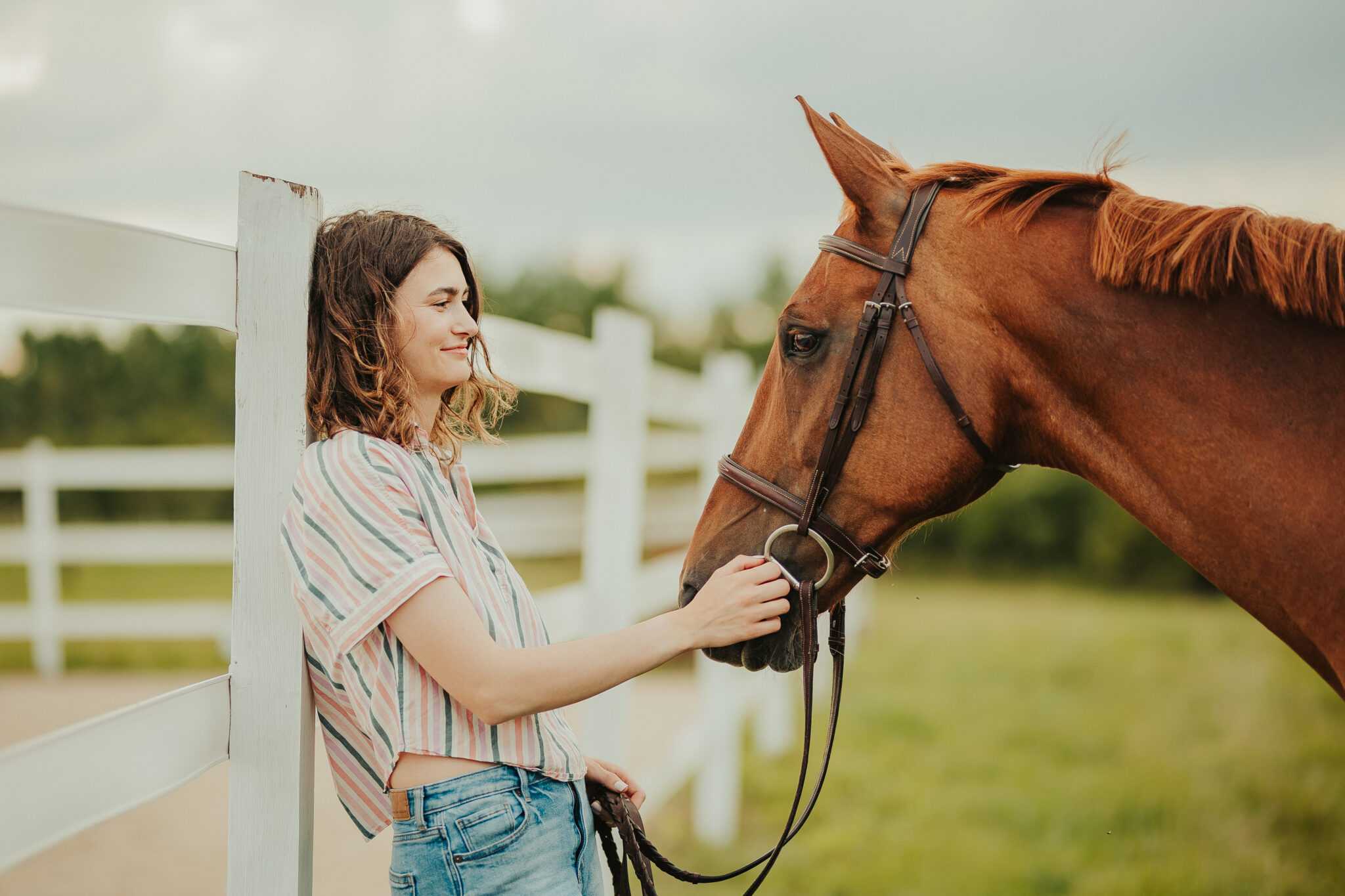 Kate Bartelt Equine 81123 40 copy