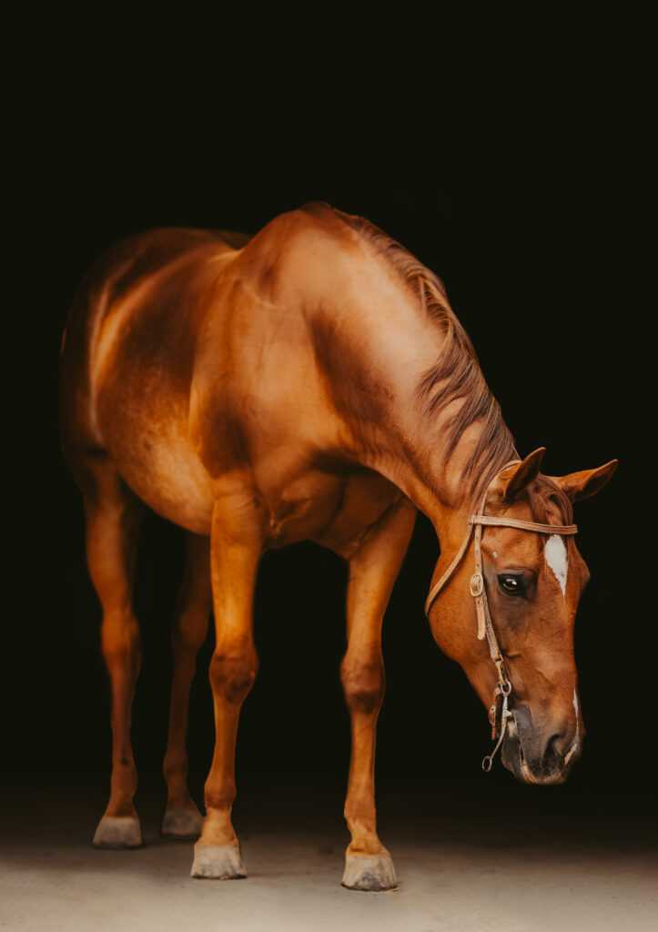 Marty Black Background
