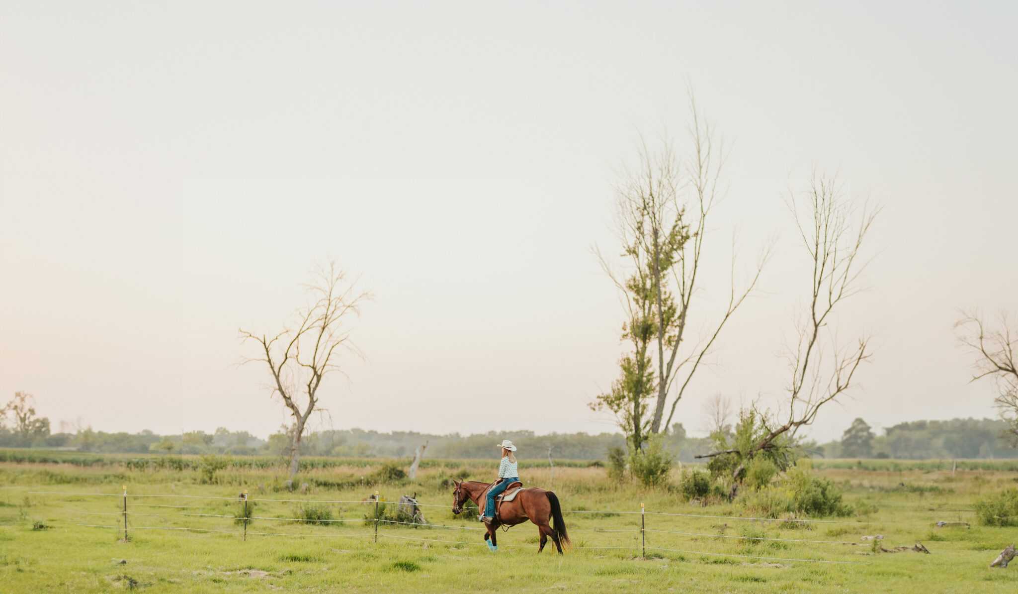 Brook Barnes Equine 8 7 23 86 expanded