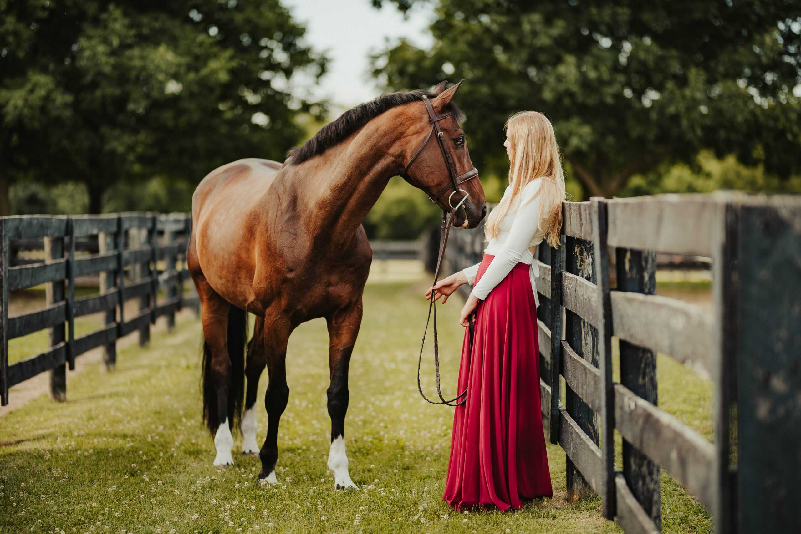 Kaitlyn Lancelle Equine 7 19 23 43 1 scaled
