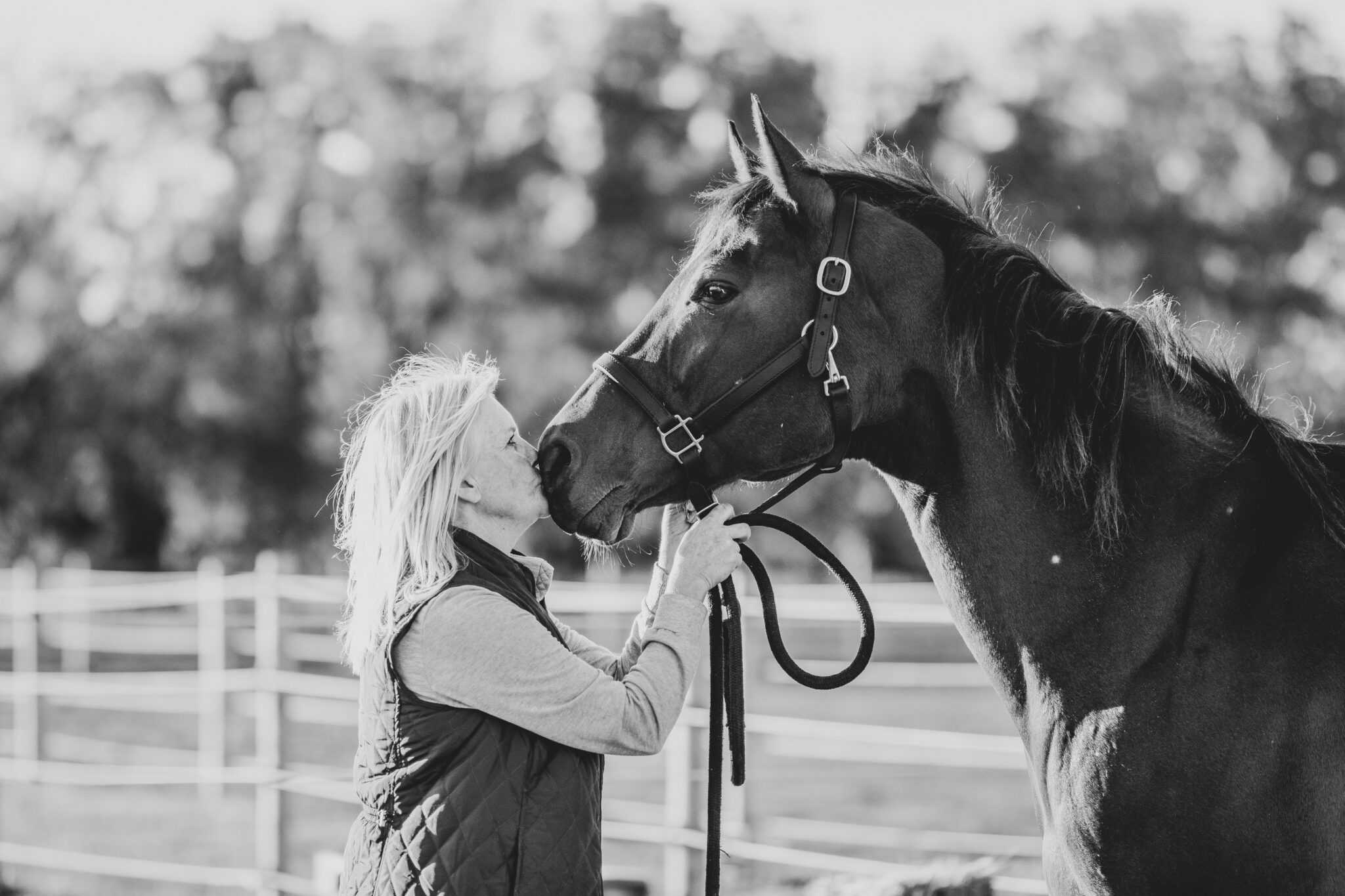 Denise Equine Shoot 10 8 22 75