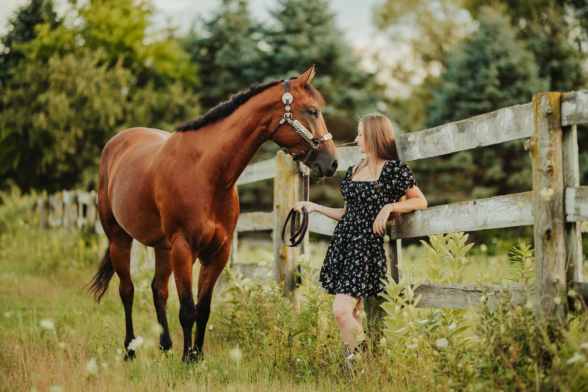 Emily King Equine 81223 69