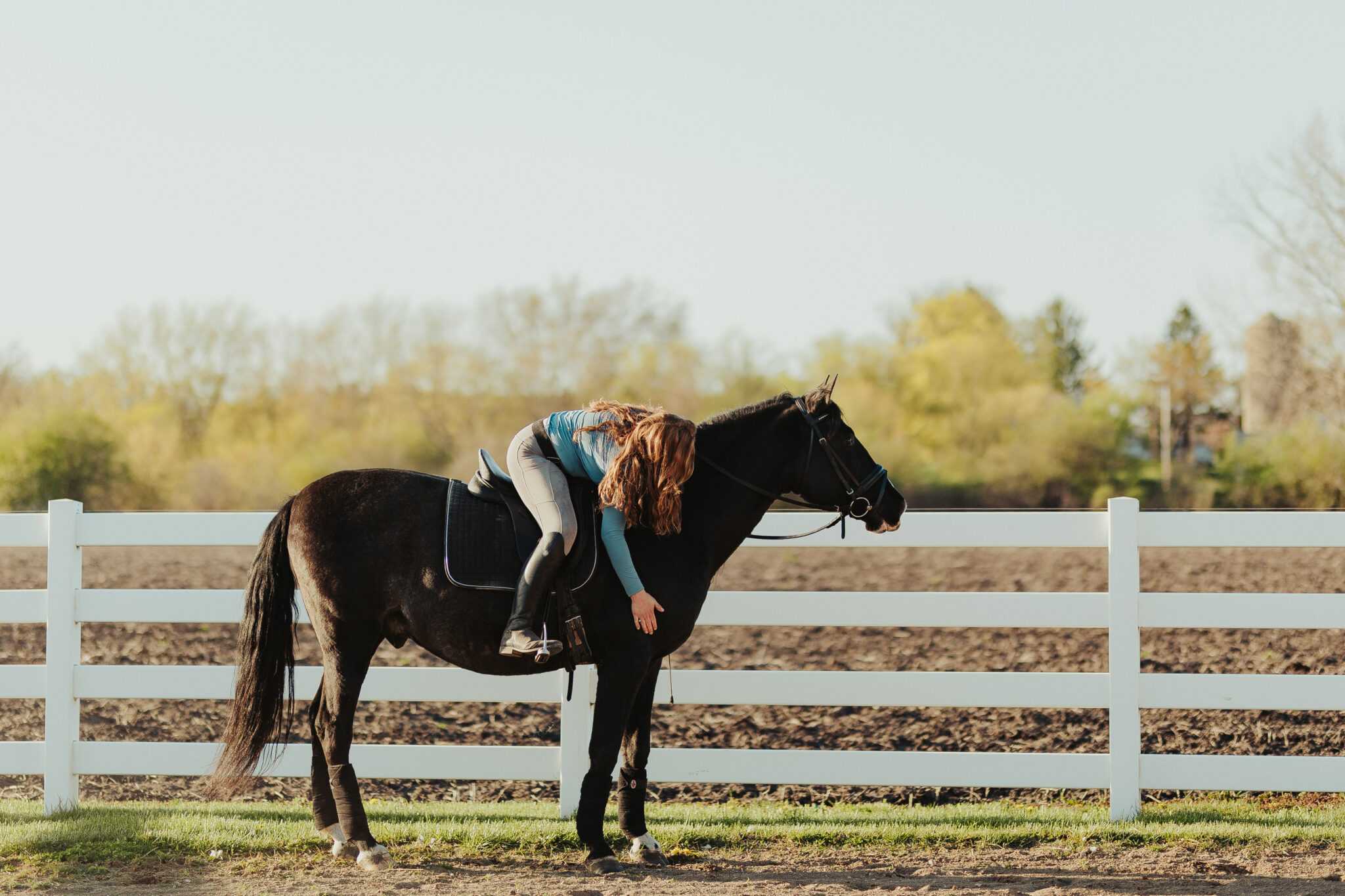 Trinity Milbocker Equine 4 24 24 8